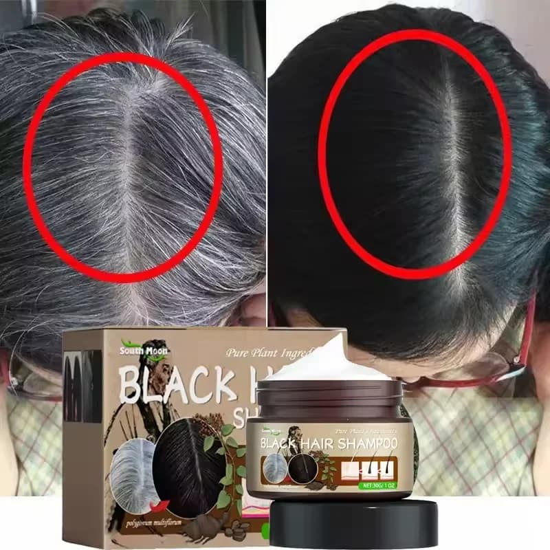 Shampooing Traitant Cheveux Gris Naturels et Blancs, Teinture Anti-Gris du Blanc au Noir, Anti-Chute, Nourrissant, Produits de Soin Capillaire pour Hommes et Femmes