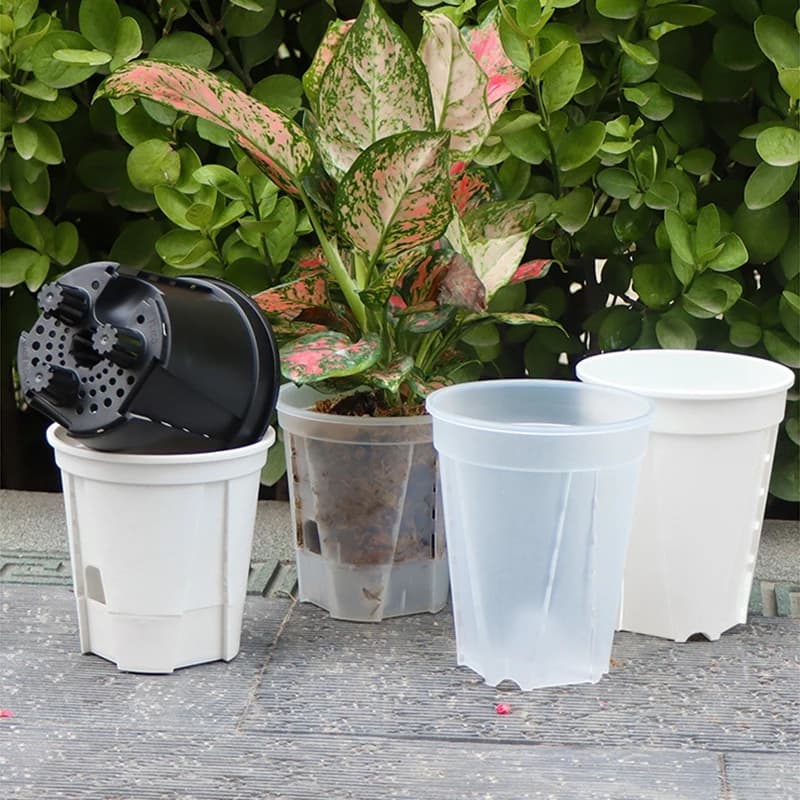Pot de fleurs de stockage d'eau, bassin Transparent pour bonsaï, Pot pour plantes, orchidée papillon, Pot hydroponique respirant, bassin paresseux auto-absorbant
