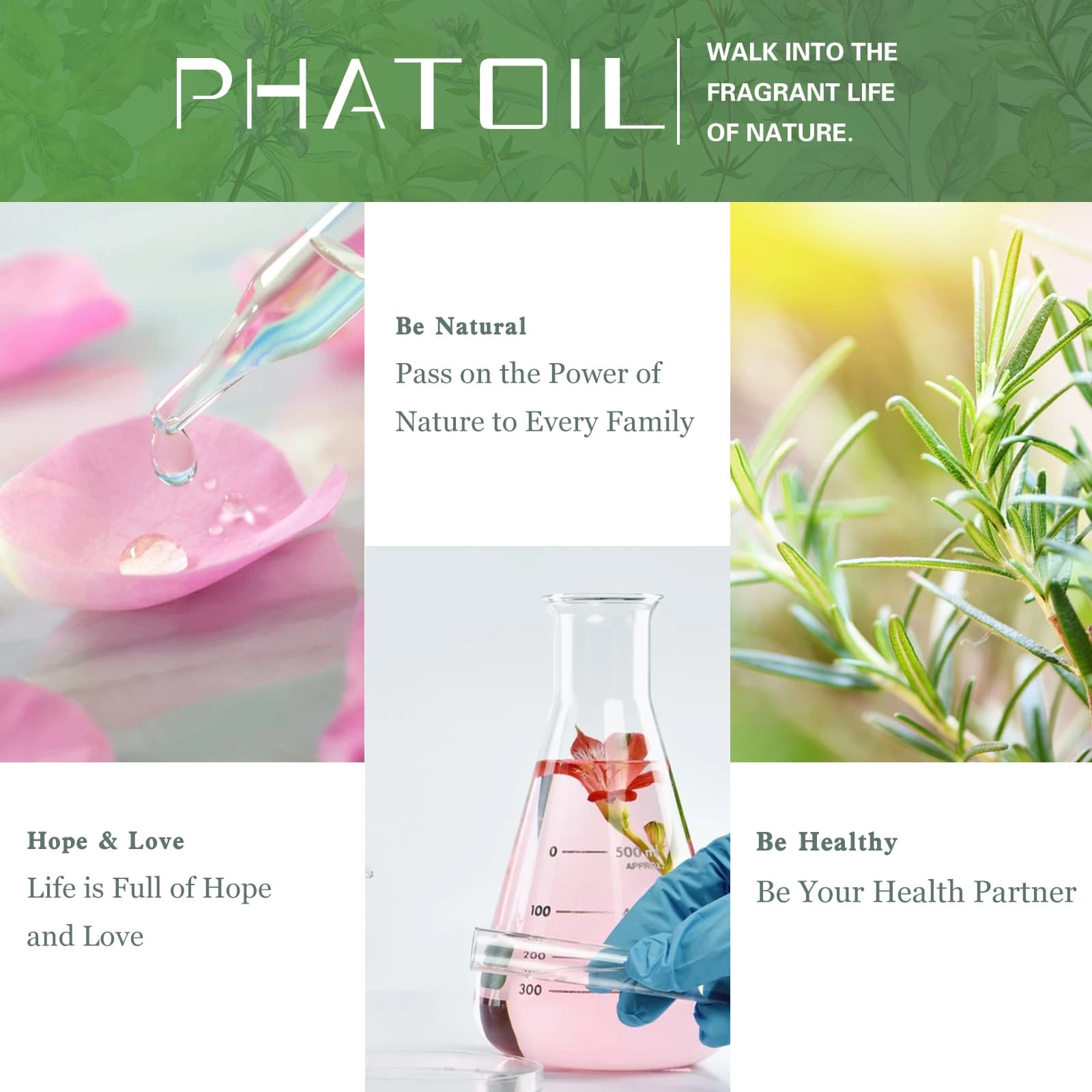 10 ml avec compte-gouttes café brise de mer huile de parfum pour bricolage maison diffuseur d'arôme musc lin frais bébé poudre Magnolia gomme à bulles