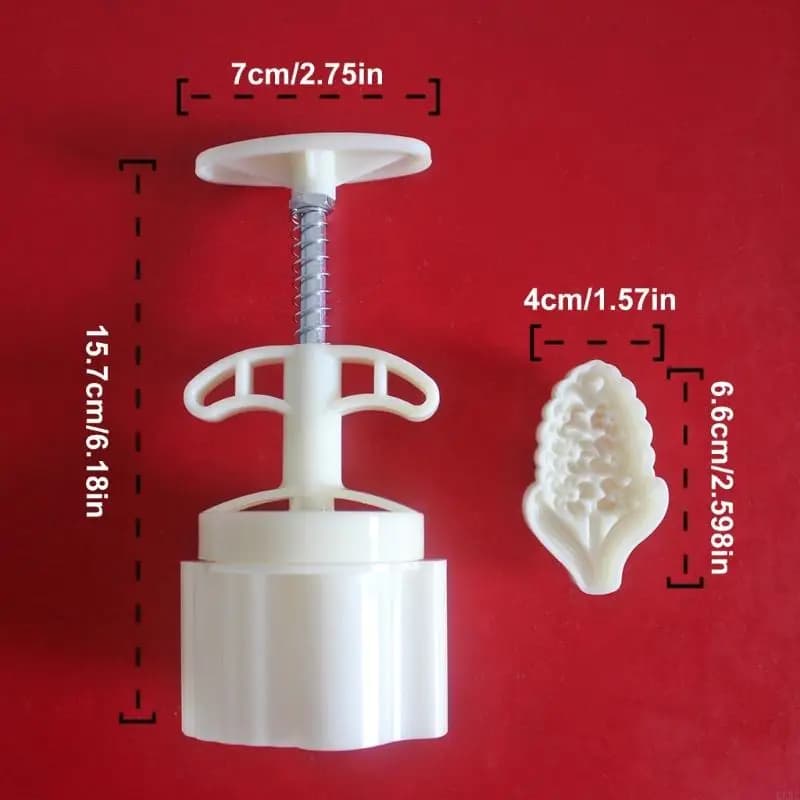 Ensemble presse à pâtisserie avec 2 assiettes à motifs interchangeables
