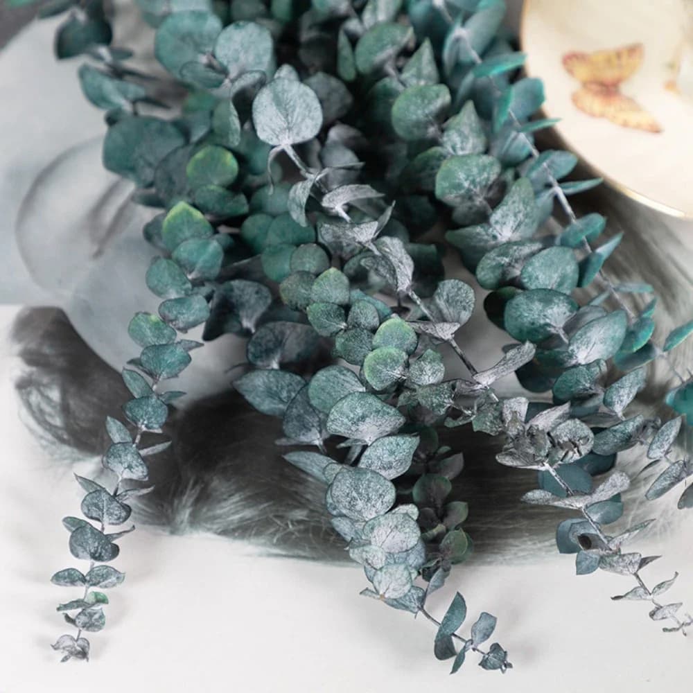 Bouquet de fleurs séchées en feuilles d'eucalyptus, Bouquet de table, fleurs de mariage, décoration de la maison, accessoires pour la maison, plantes de table