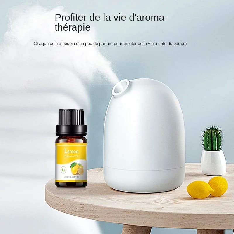 Château essentiel pour diffuseur d'arômes, humidificateur d'air domestique, soluble dans l'eau, assainisseur d'air, parfums, huile parfumée, 18 saveurs, 10ml