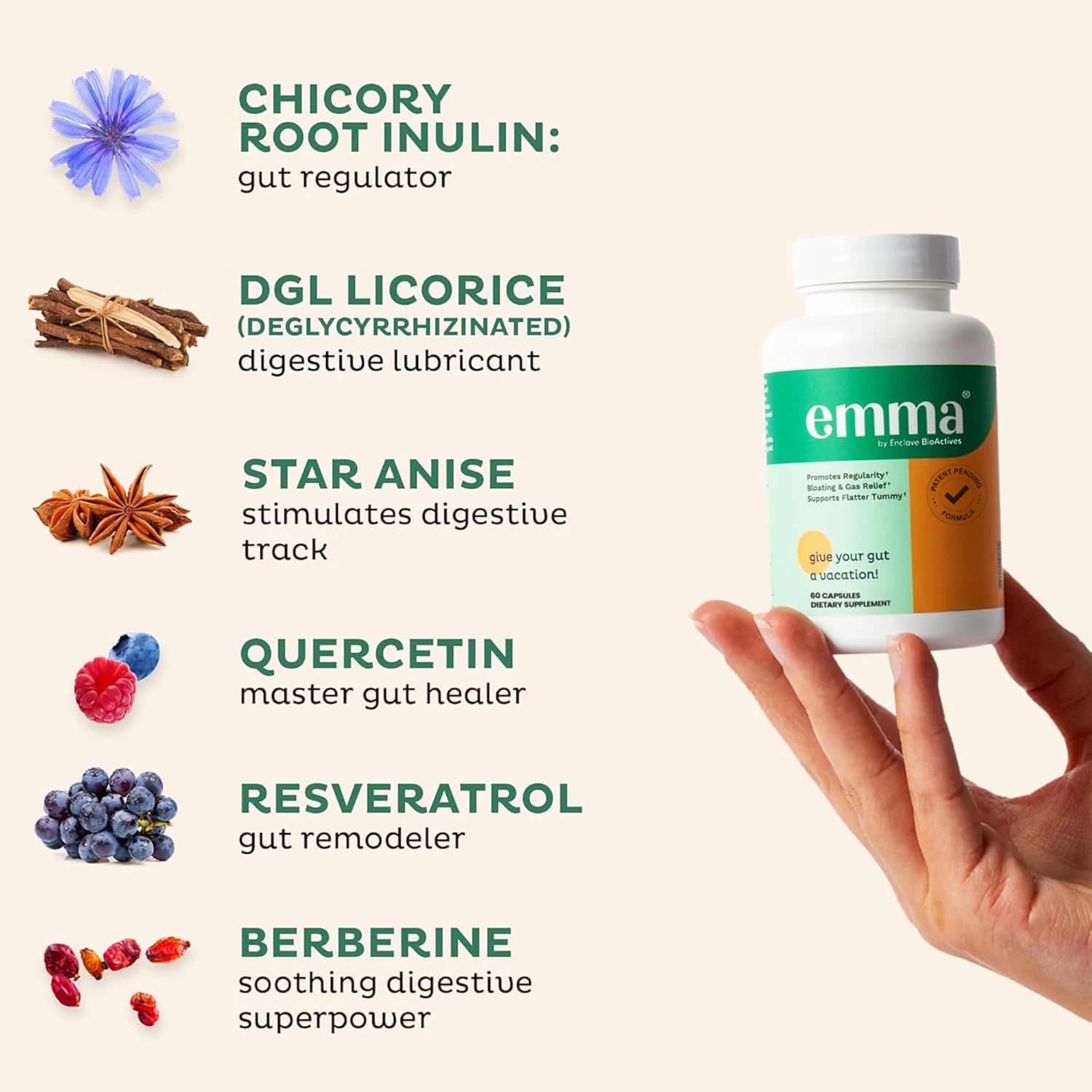 Complément alimentaire pour la santé intestinale des femmes et des hommes, soutien pour l'intestin perméable et la digestion, soulagement de la constipation, des ballonnements et des gaz, 60 capsules