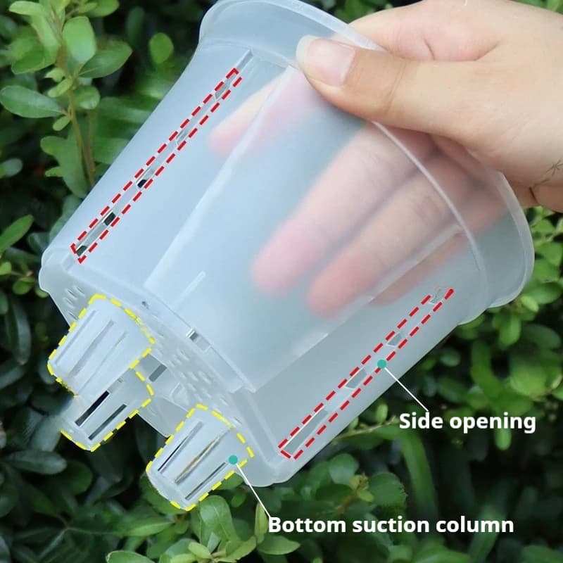 Pot de fleurs de stockage d'eau, bassin Transparent pour bonsaï, Pot pour plantes, orchidée papillon, Pot hydroponique respirant, bassin paresseux auto-absorbant