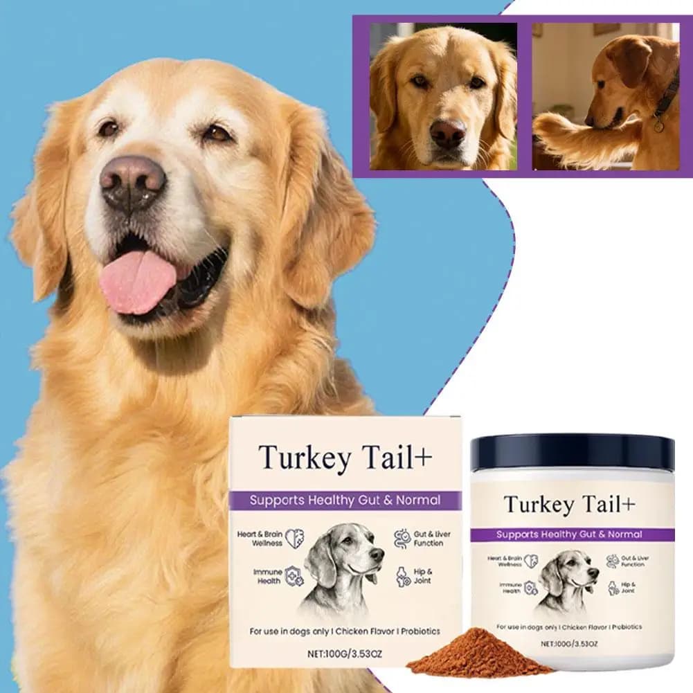 Poudre Probiotique Intestinale pour Chiens 100g Saveur Bacon Délicieuse Équilibre de la Flore
