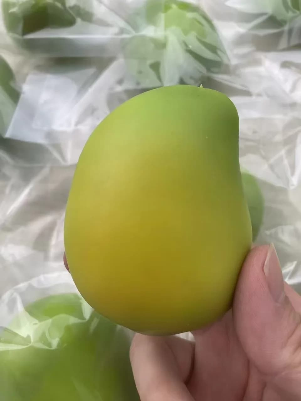 Balle anti-stress artisanale en forme de mangue croustillante, jouet fidget, balle à presser croustillante, blocs ronds rembourrés, jouets