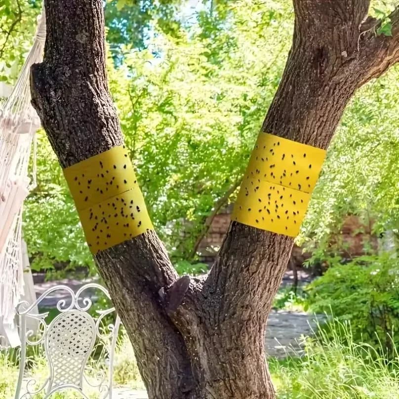 1 rouleau de ruban adhésif jaune double face anti-insectes pour empêcher les insectes