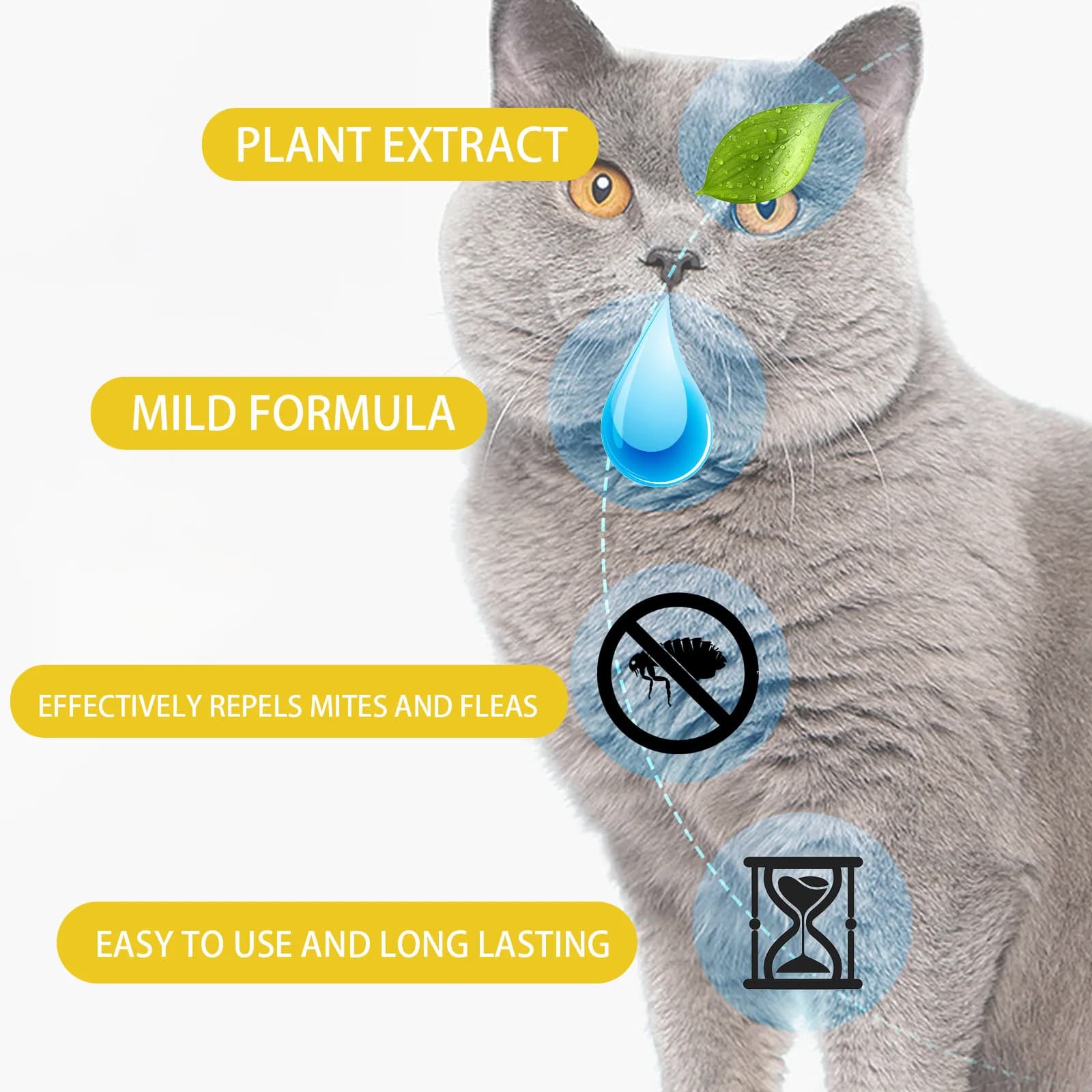 Gouttes anti-puces pour chats, élimination des puces et des tiques, soulagement des démangeaisons cutanées, répulsif externe contre les insectes, fournitures de vermifugation, traitement des tiques po