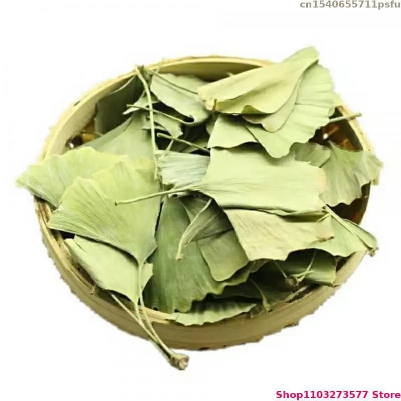 Feuilles de Ginkgo Biloba séchées de haute qualité pour la beauté, la santé, les savons, les sachets parfumés, les bougies de mariage, la fabrication de bijoux, la décoration extérieure