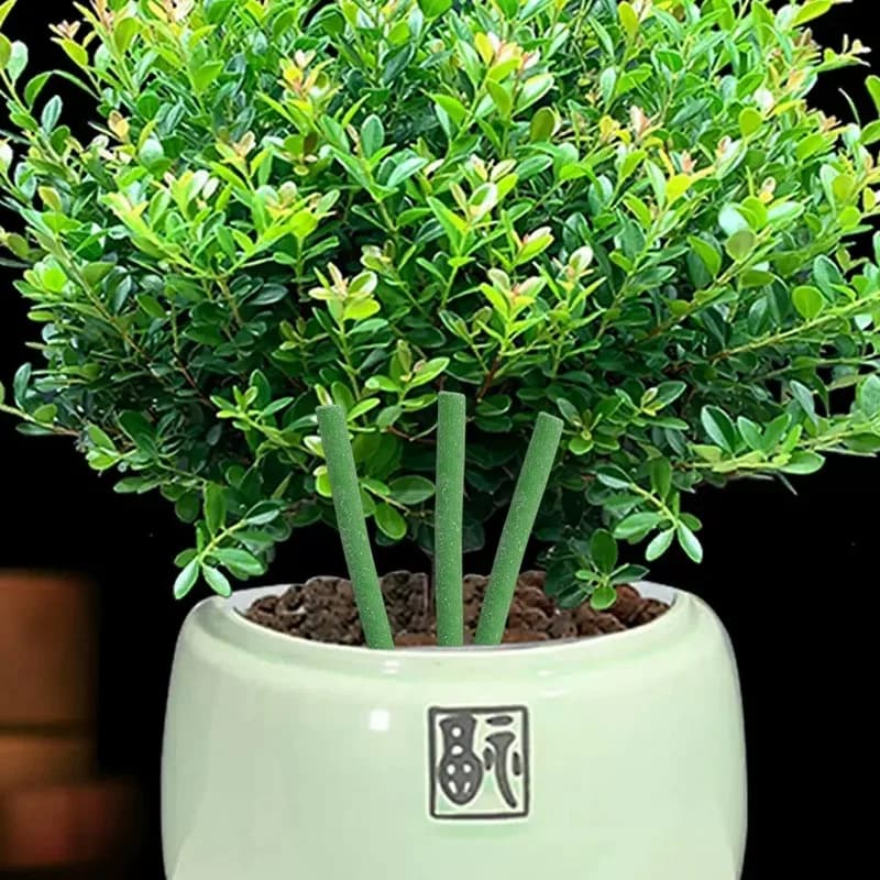 Barres nutritives pour plantes en gros, engrais composé pour plantes, fruits, légumes, fleurs, barres nutritives azote, phosphore, potassium