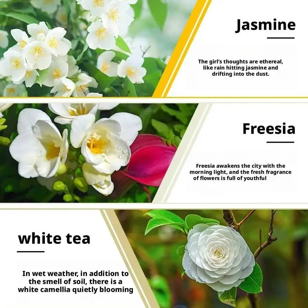 Huiles essentielles parfumées sans flamme