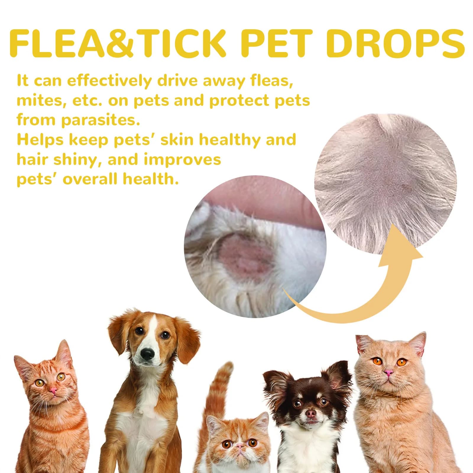 Gouttes anti-puces pour chats, élimination des puces et des tiques, soulagement des démangeaisons cutanées, répulsif externe contre les insectes, fournitures de vermifugation, traitement des tiques po