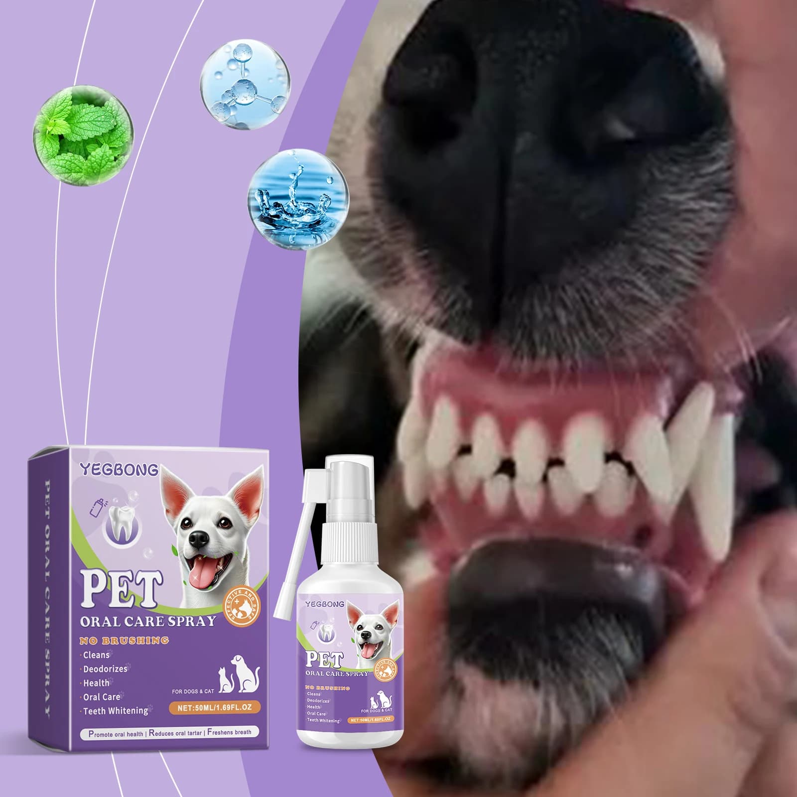 Spray anti-puces pour animaux de compagnie, élimine efficacement les puces et les tiques, soulage les démangeaisons cutanées, ingrédients naturels, non irritant, répulsif anti-puces pour chiens et cha