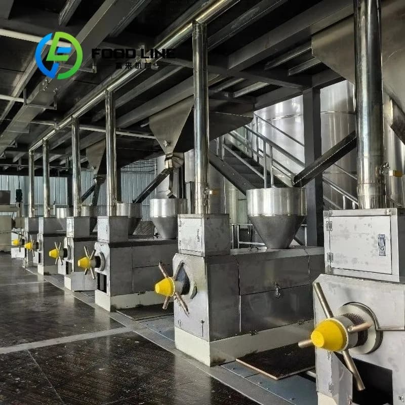 Ligne de production clé en main de 10 TPD pour le pressage et la raffinage de l'huile de soja