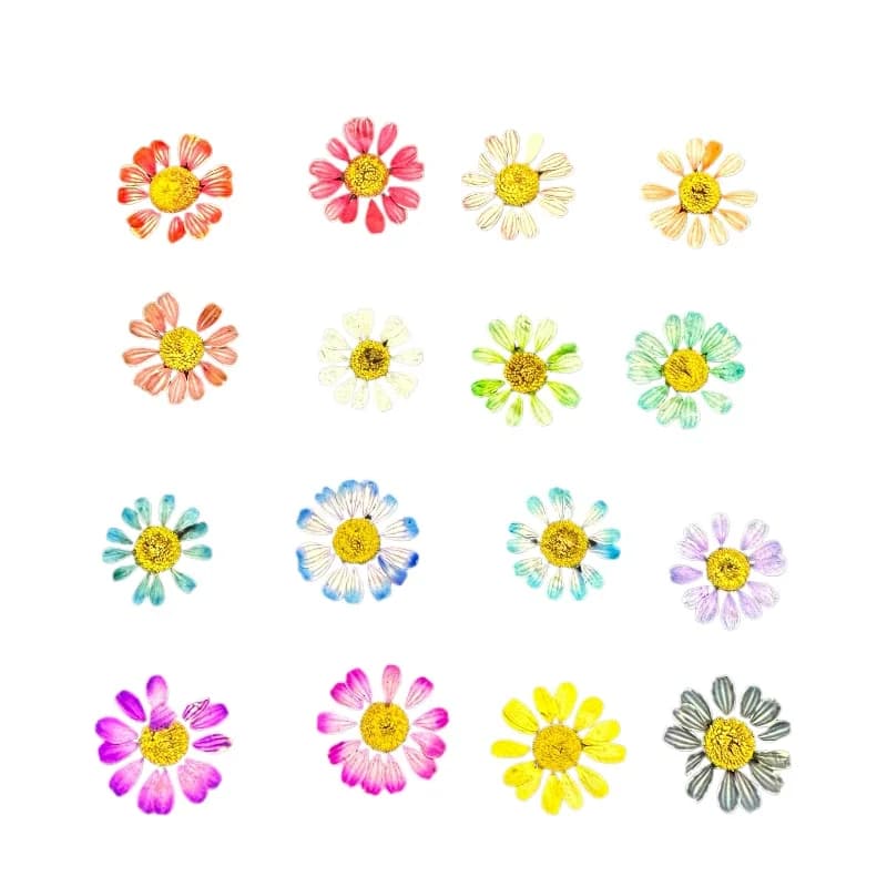 12 pièces/1-2 cm, Mini fleur sèche naturelle camomille, cadre Photo fait à la main, matériel de bricolage, bijoux de maquillage, pétales de fleurs époxy pour Nail Art