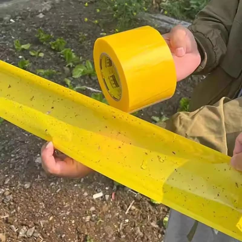 Nouveau Ruban Adhésif Anti-Nuisibles Jaune Double Face 5/10 Mètres pour Jardin