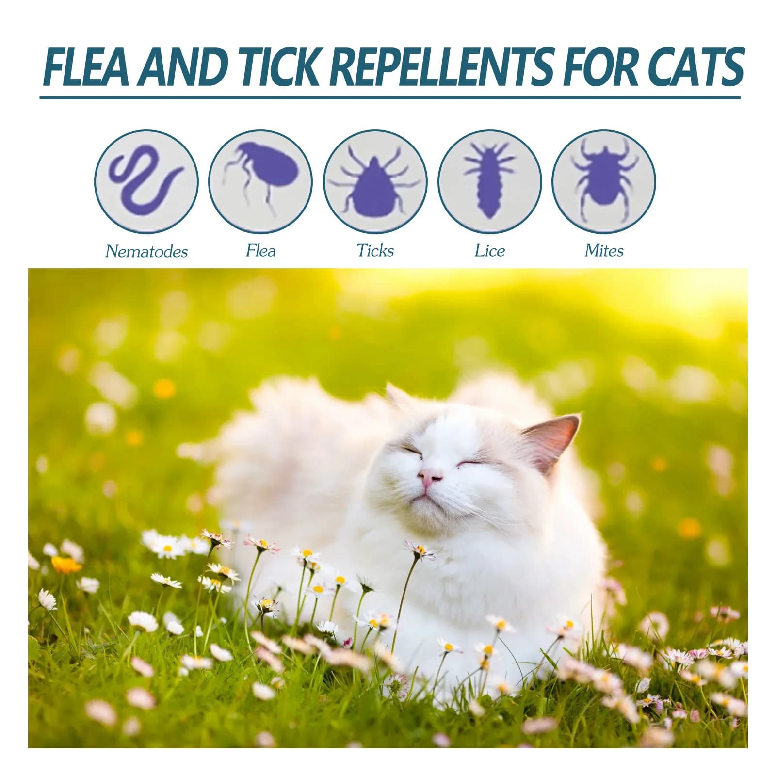 Gouttes anti-grippage pour animaux de compagnie, pour chiens et chats, dissolvant d'acariens Anti-pouces sûr, soulage les démangeaisons et le traitement des vers de sonnette, gouttes d'insectes