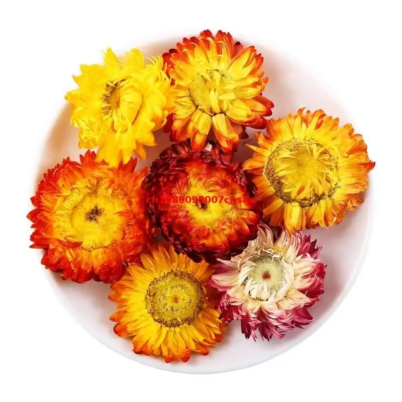 Fleur séchée naturelle d'immortelle de haute qualité, mélange de fleurs d'Helichrysum Bracteatum, pour décoration de mariage, fabrication de savons et de bougies