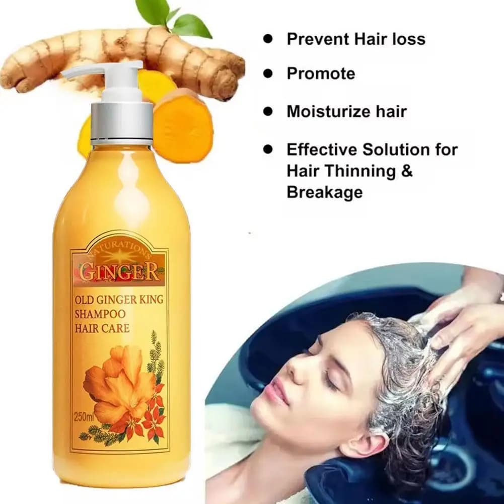 Shampooing capillaire au jus de gingembre ancien 250 ml – Traitement professionnel du cuir chevelu