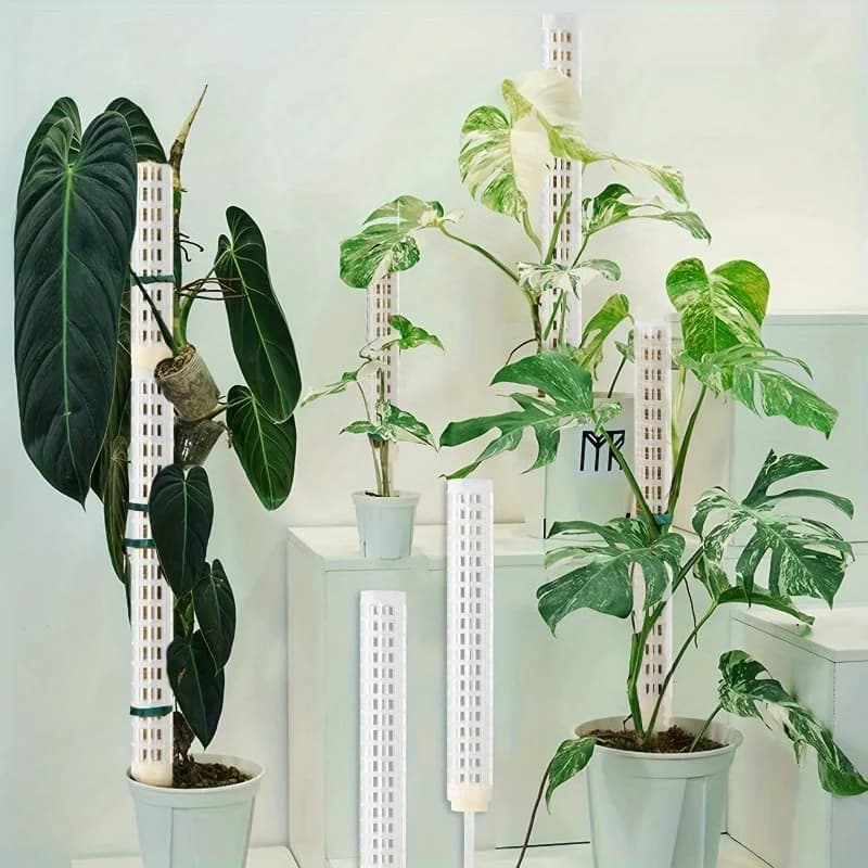 Perche en mousse 1 pièce: donnez à vos plantes grimpantes Monstera le soutien puissant dont elles ont besoin!