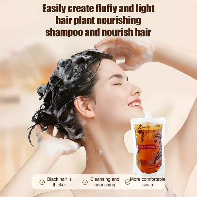 Cordyceps Shampooing anti-huile Shampooing nourrissant pour soins capillaires Shampooing antipelliculaire Shampooing anti-démangeaisons Shampooing pour cheveux moelleux