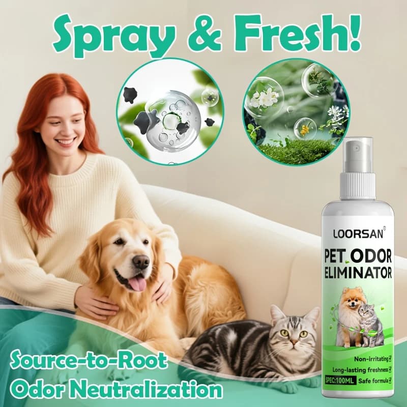 Spray anti-odeur d'urine pour animaux de compagnie - Éliminateur d'urine haute performance, sans danger pour les tapis, les sols et les meubles, adapté aux chiens et aux chats