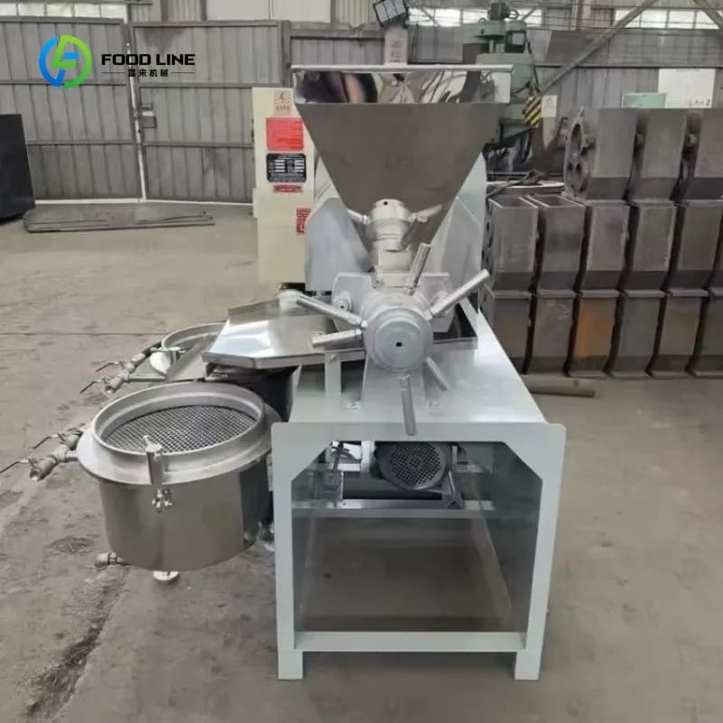 Presse à huile automatique à froid et à chaud pour l'extraction d'huile d'arachide, de sésame, de tournesol et de noix de coco, usage commercial, personnalisable