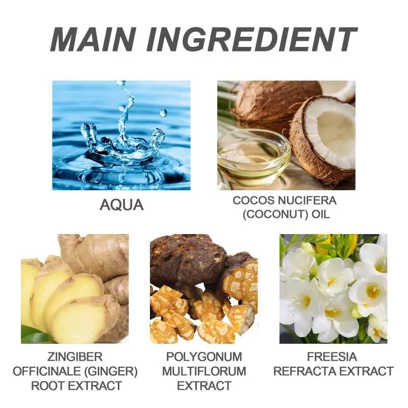 Shampoo antipelliculaire à l'huile de coco Hoegoa 100 ml, contrôle du sébum, nettoyage du cuir chevelu, massage nourrissant, lavage, cheveux lisses et volumineux