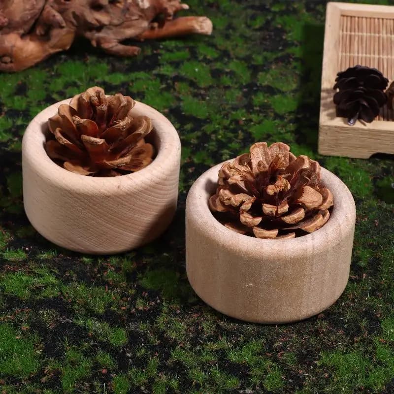Diffuseur d'huile essentielle en bois de pomme de pin créatif