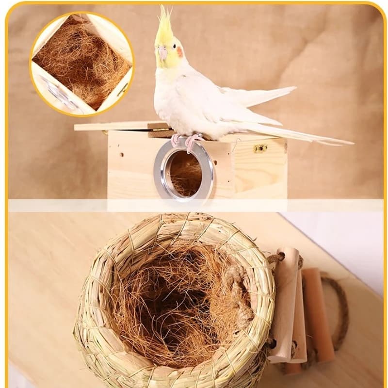 Matériel de nidification en Fiber de noix de coco, nid/Fiber d'aviaire, oiseaux canaries, pins, nid rempli d'herbe, accessoires pour Cage à oiseaux, 100/200g