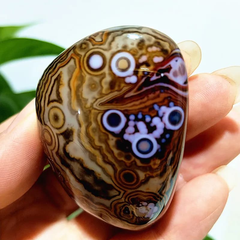 Pierres naturelles AAA, Agate Sardonyx, Pierres de Palm Herat, Cristaux de méditation et de guérison spirituelle pour la sorcellerie, Décoration intérieure
