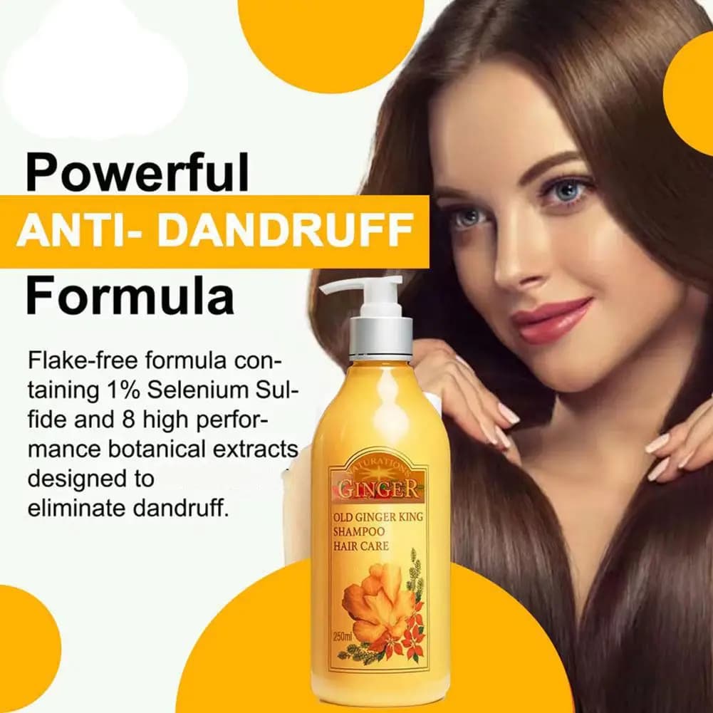 Shampooing capillaire au jus de gingembre ancien 250 ml – Traitement professionnel du cuir chevelu