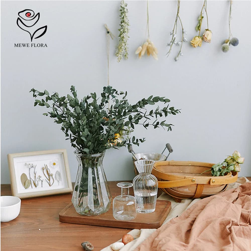 Bouquet de feuilles d'eucalyptus 100g