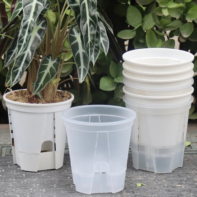 Pot de fleurs de stockage d'eau, bassin Transparent pour bonsaï, Pot pour plantes, orchidée papillon, Pot hydroponique respirant, bassin paresseux auto-absorbant