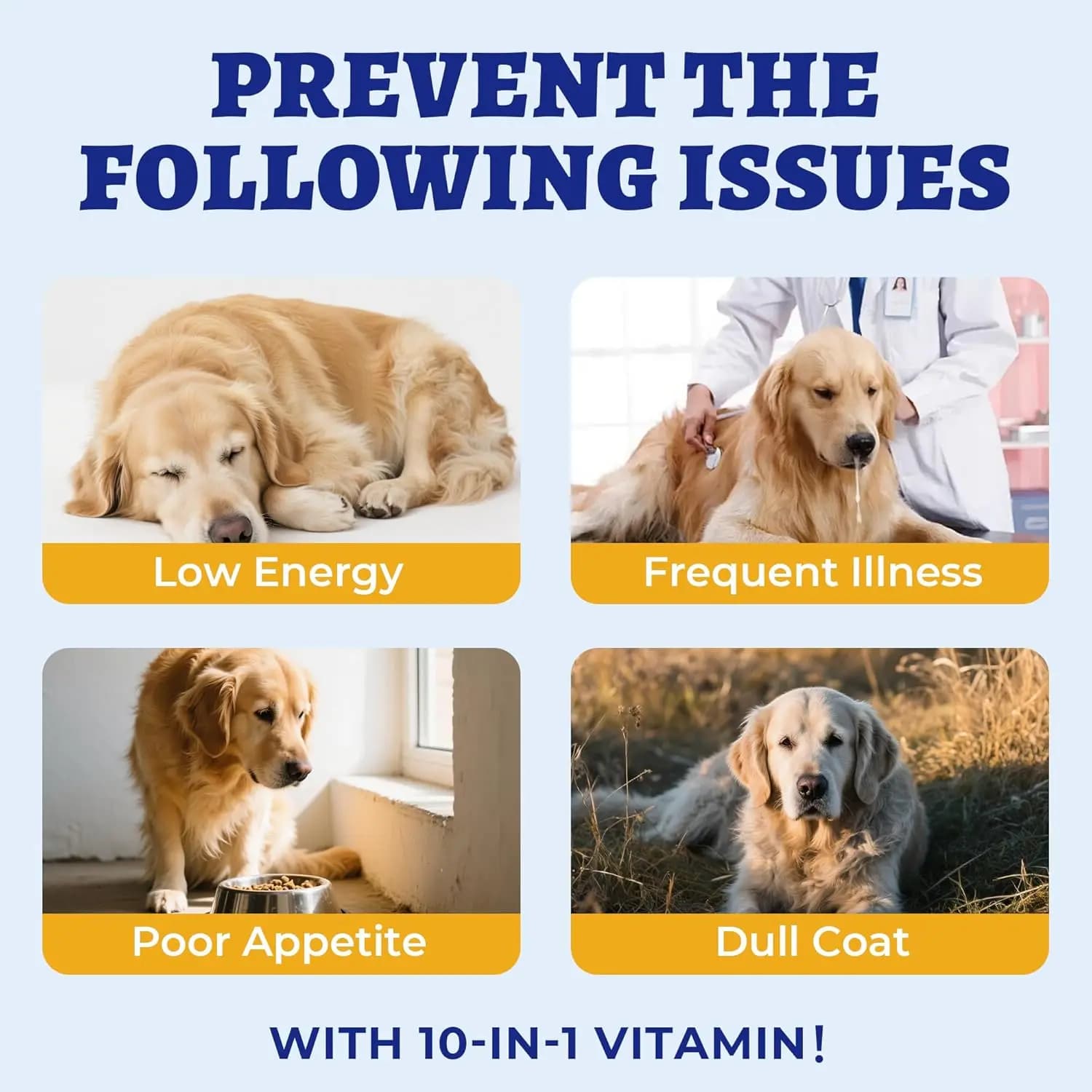 Multivitamines pour chien 150g, 10 vitamines en 1, compléments alimentaires pour animaux de compagnie, oméga-3, glucosamine pour chiots, soins de la peau, du pelage, de la digestion, du système immuni