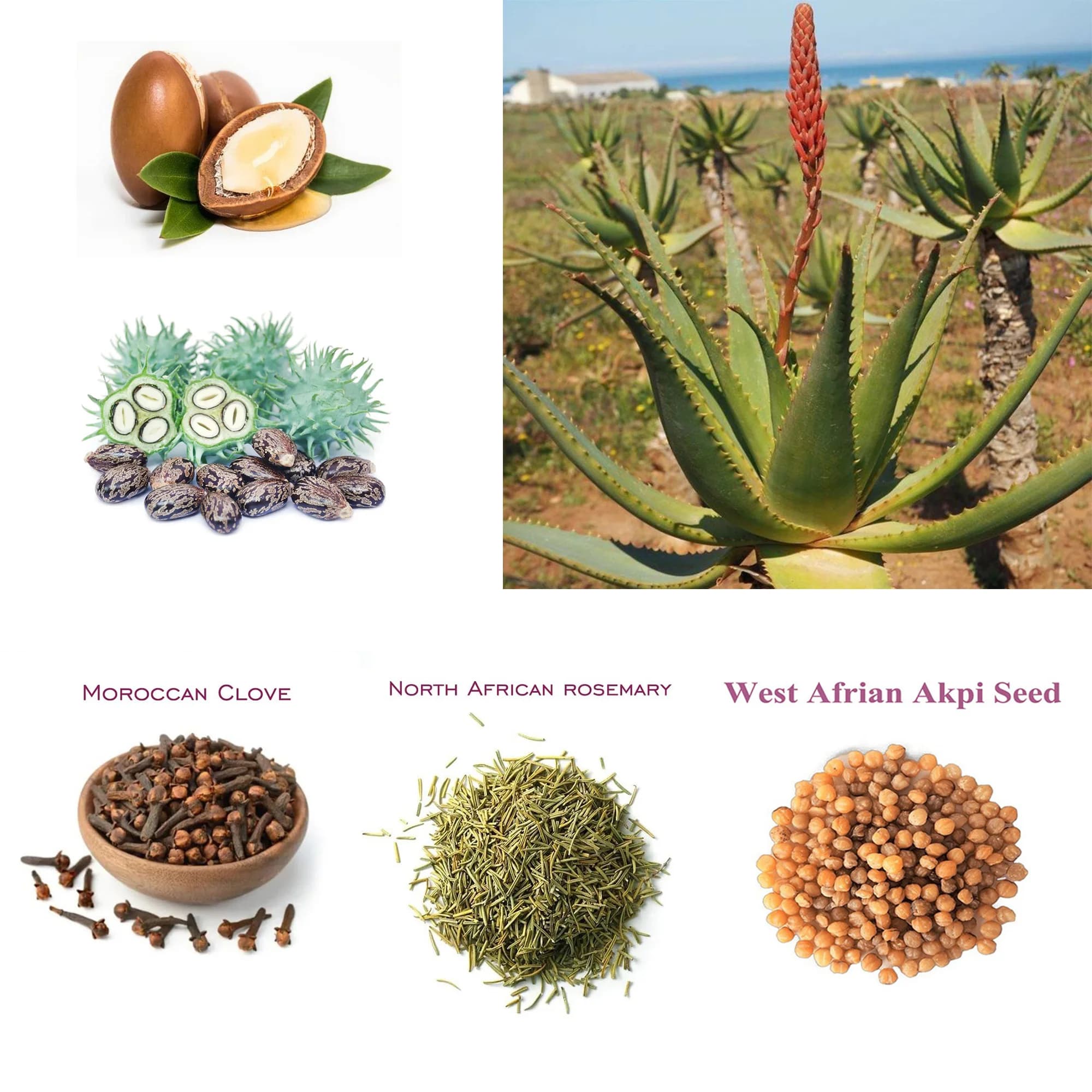 One Touch to Gorgeous with African Traditionally Cold-PMurcia Layden Nourish 173