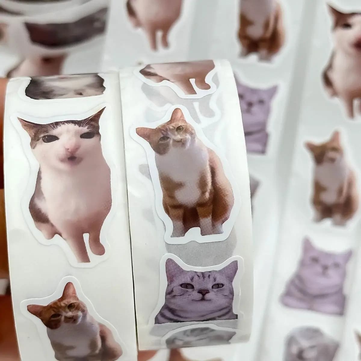 Rouleau d'autocollants chaton chat Ins, 500 pièces/rouleau, ruban d'étanchéité auto-adhésif, étiquette mignonne et amusante, autocollants décoratifs pour manuel de bricolage