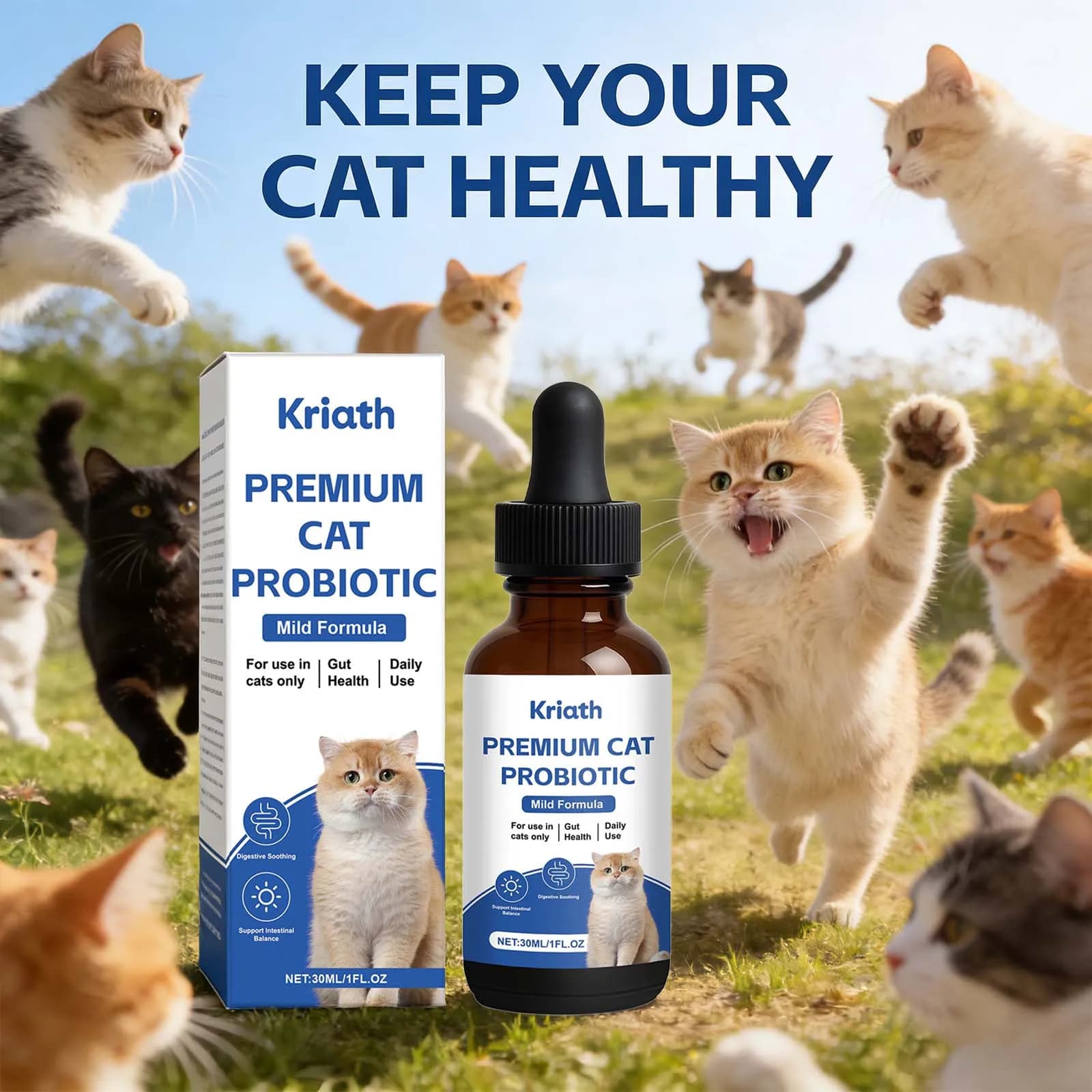 Probiotiques pour chats de qualité supérieure, favorisent la digestion, apaisent et soutiennent l'équilibre intestinal, maintiennent une microbiota saine dans l'intestin, gouttes probiotiques pour cha