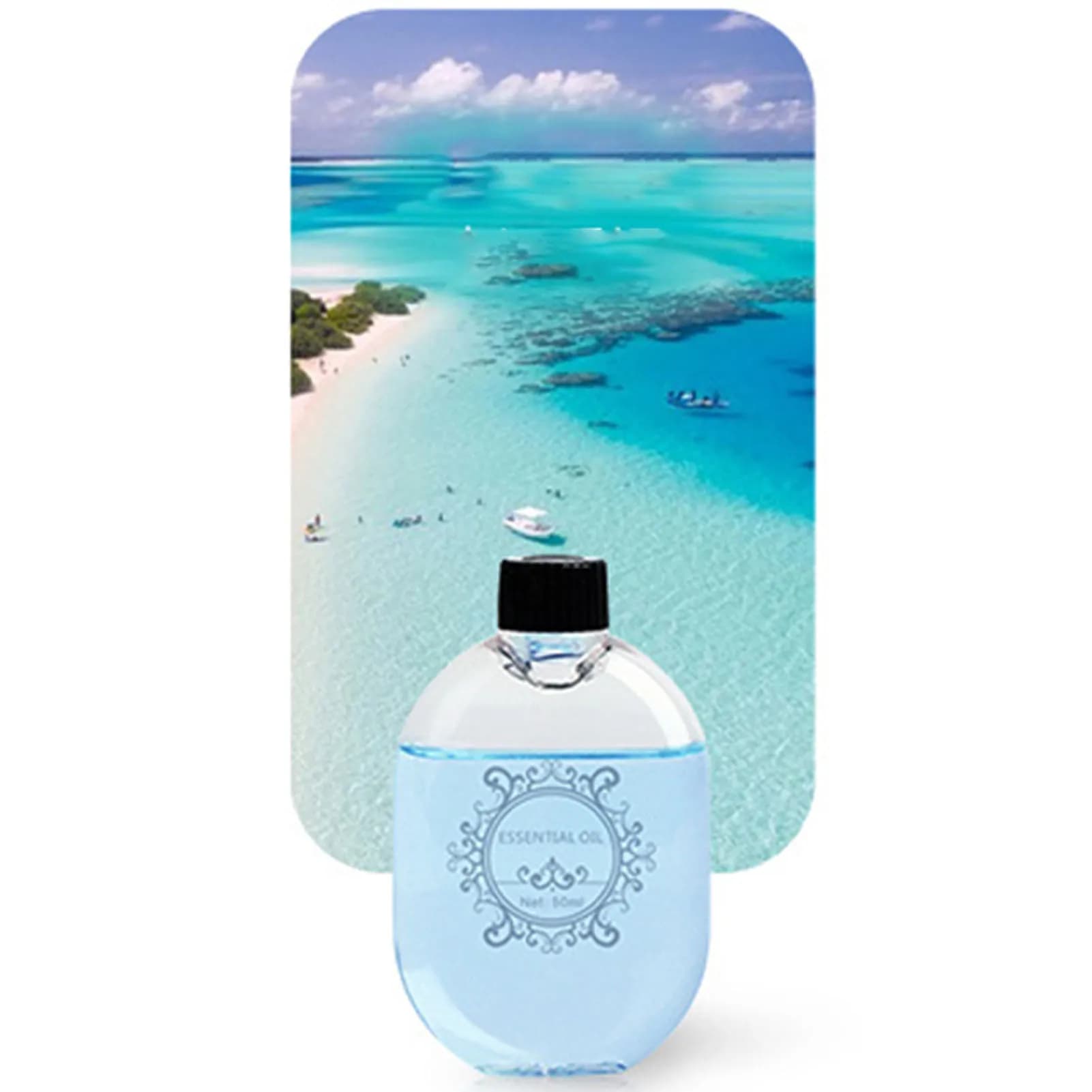 Château essentiel pur et naturel, diffuseur d'arômes, humidificateur d'air, aromathérapie, huile parfumée, désodorisant pour voiture, air frais, 50ml