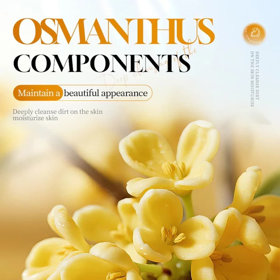 Gel douche hydratant à l'osmanthus 530 ml, gel douche hydratant et rafraîchissant à l'aloe vera avec un parfum longue durée