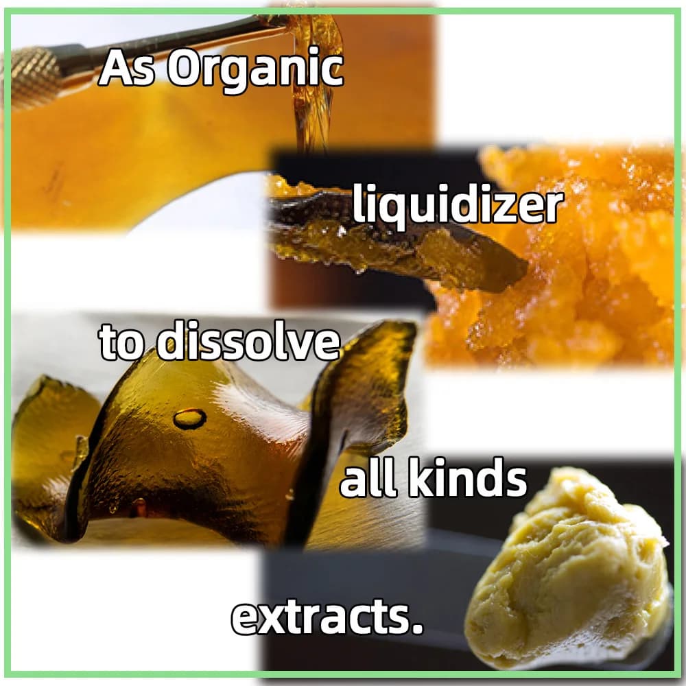 Huile essentielle de terpène pure biologique, extraits d'herbes avec de l'huile soluble comme liquide naturel ou matières premières aromatiques, 1 bouteille de 10ml
