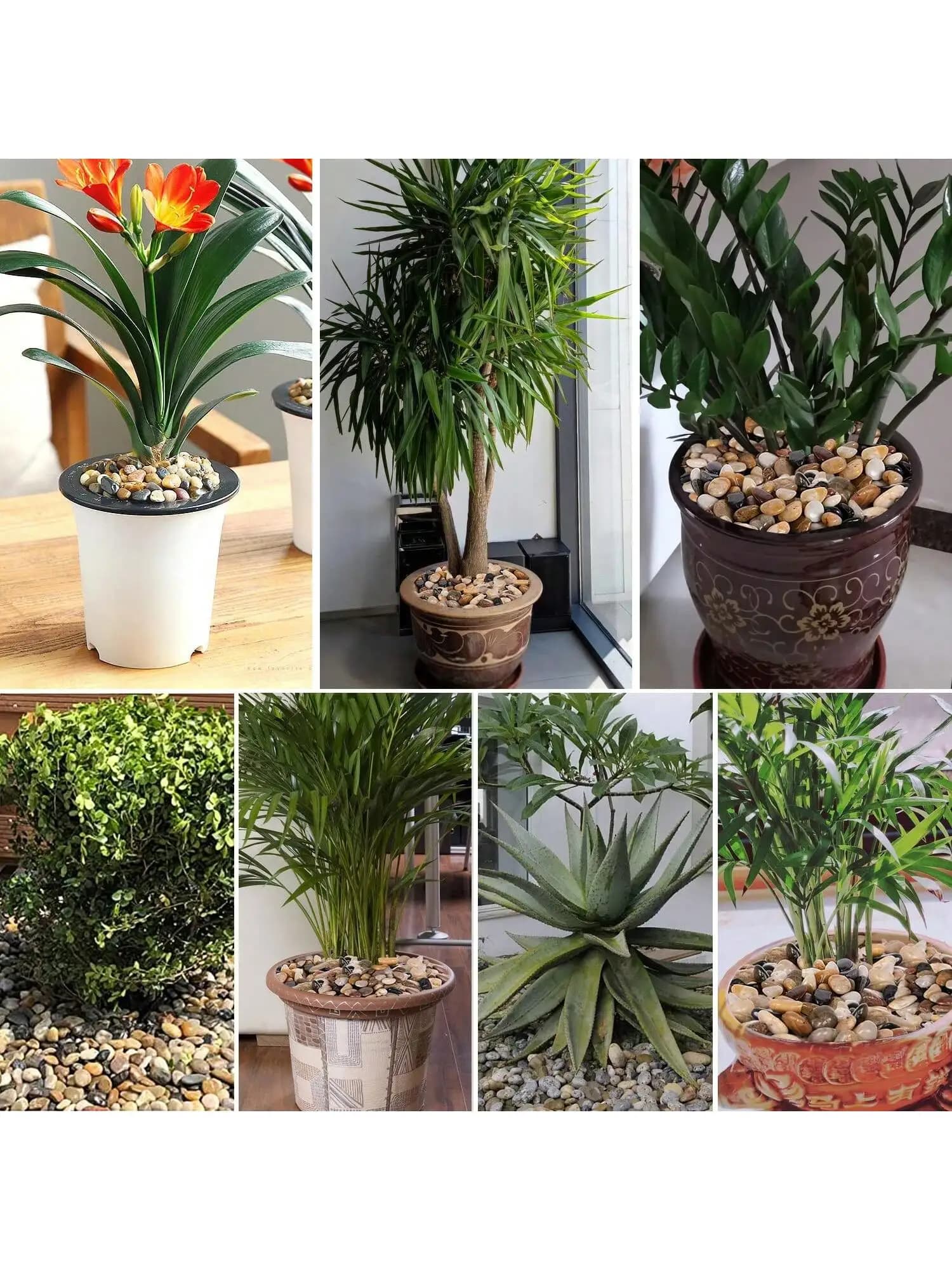 Roches de rivière, galets décoratifs, pierres d'aménagement paysager de jardin, remplissage de gravier pour la décoration de la maison, parterre de fleurs, plante d'aquarium