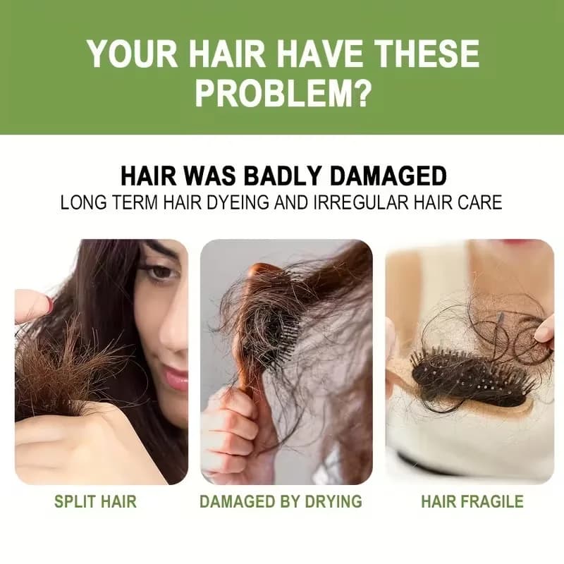 Shampoing nourrissant nettoie et aide à renforcer les cheveux fragiles et cassants Shampooing à la menthe au romarin, prévient la chute des cheveux Nourrissant les cheveux
