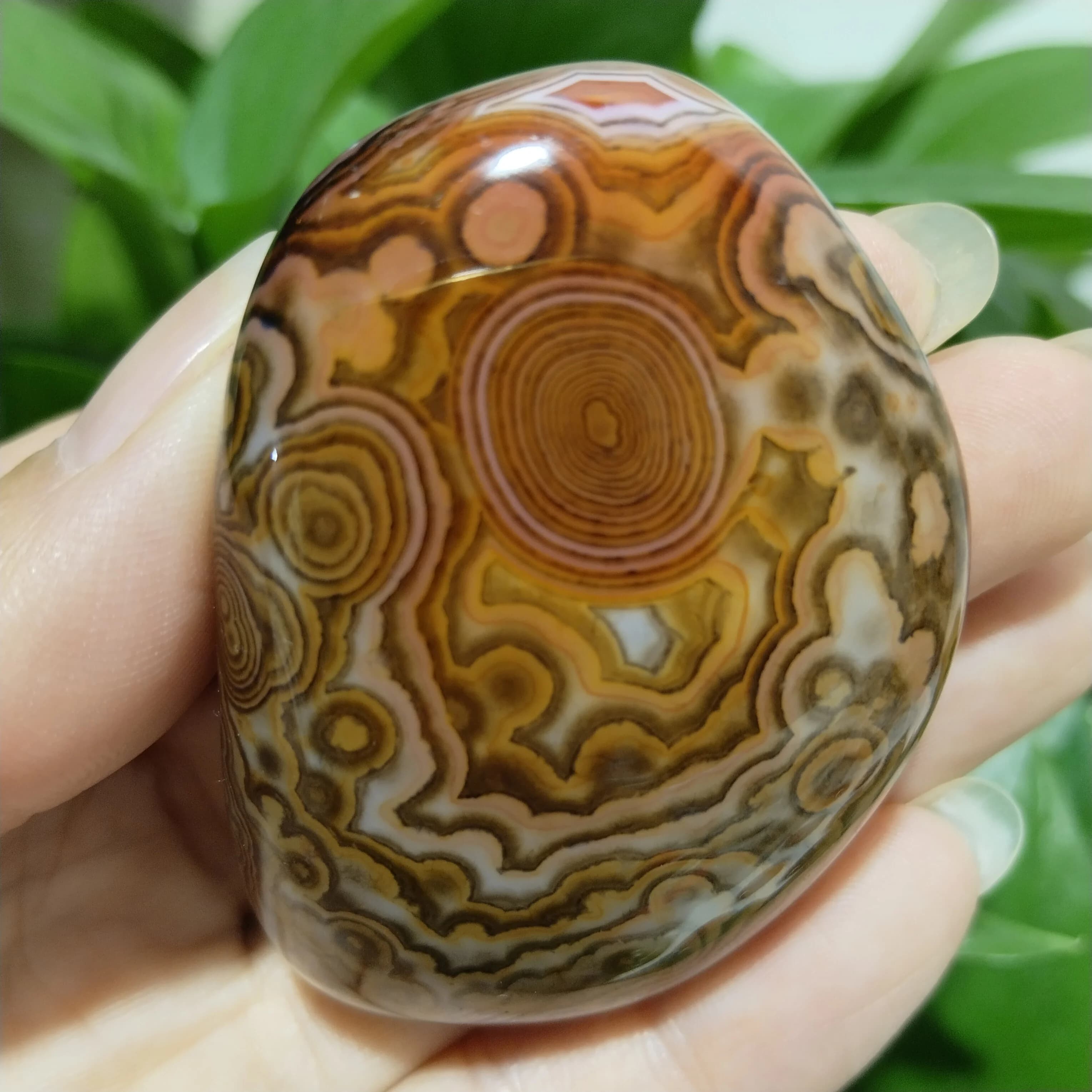 Pierres naturelles AAA, Agate Sardonyx, Pierres de Palm Herat, Cristaux de méditation et de guérison spirituelle pour la sorcellerie, Décoration intérieure