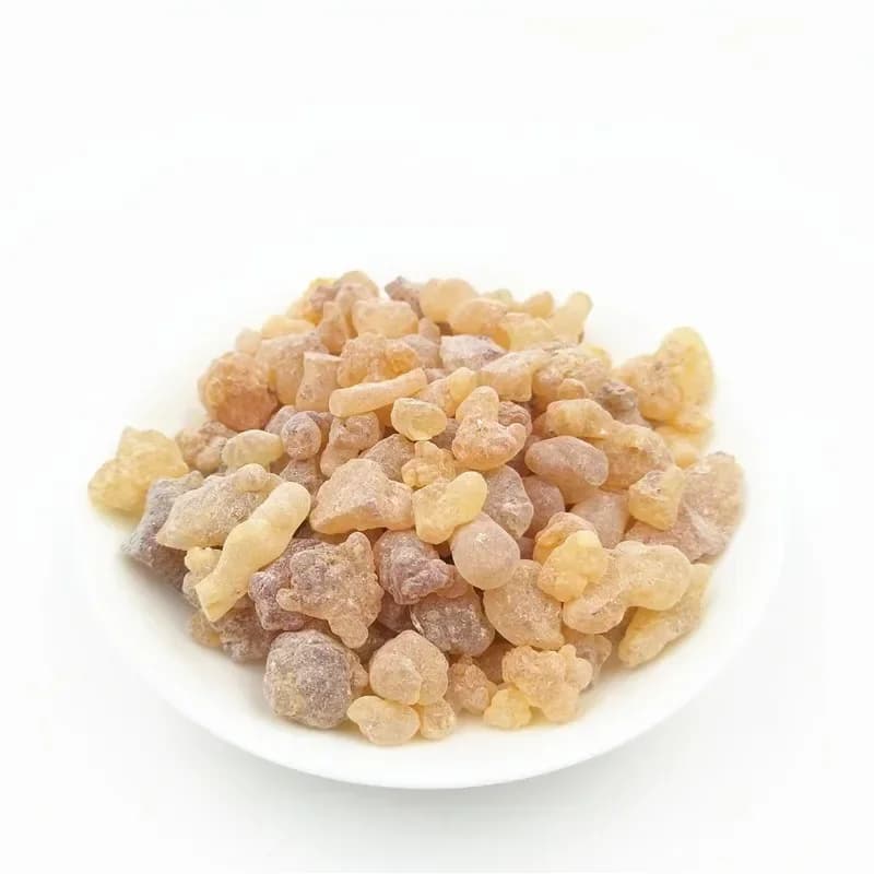 Résine d'encens Oliban de Somalie organique, hydrolat de médecine, cônes d'encens propres, ples continents, Boswellia