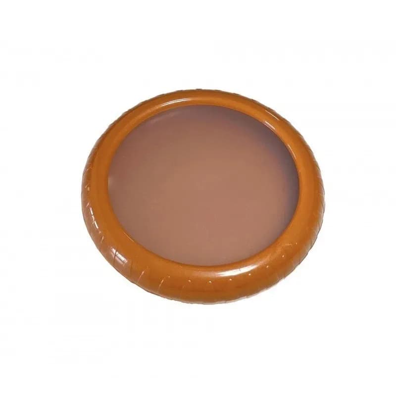 Conserves des légumes et des fruits Conteneurs à couvercle transparent – Gardeurs scellés rouge vert orange jaune pour