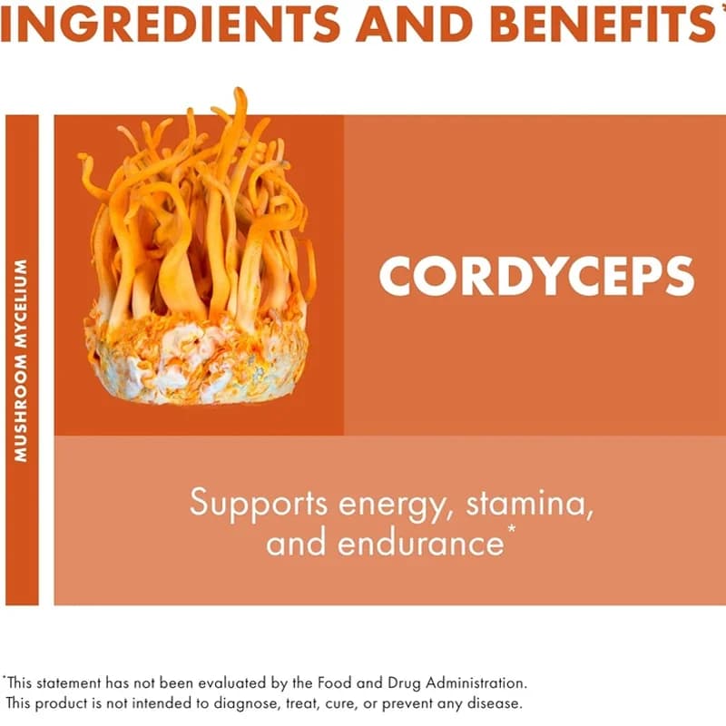 Capsules de Cordyceps, compléments alimentaires pour soutenir l'immunité et l'énergie