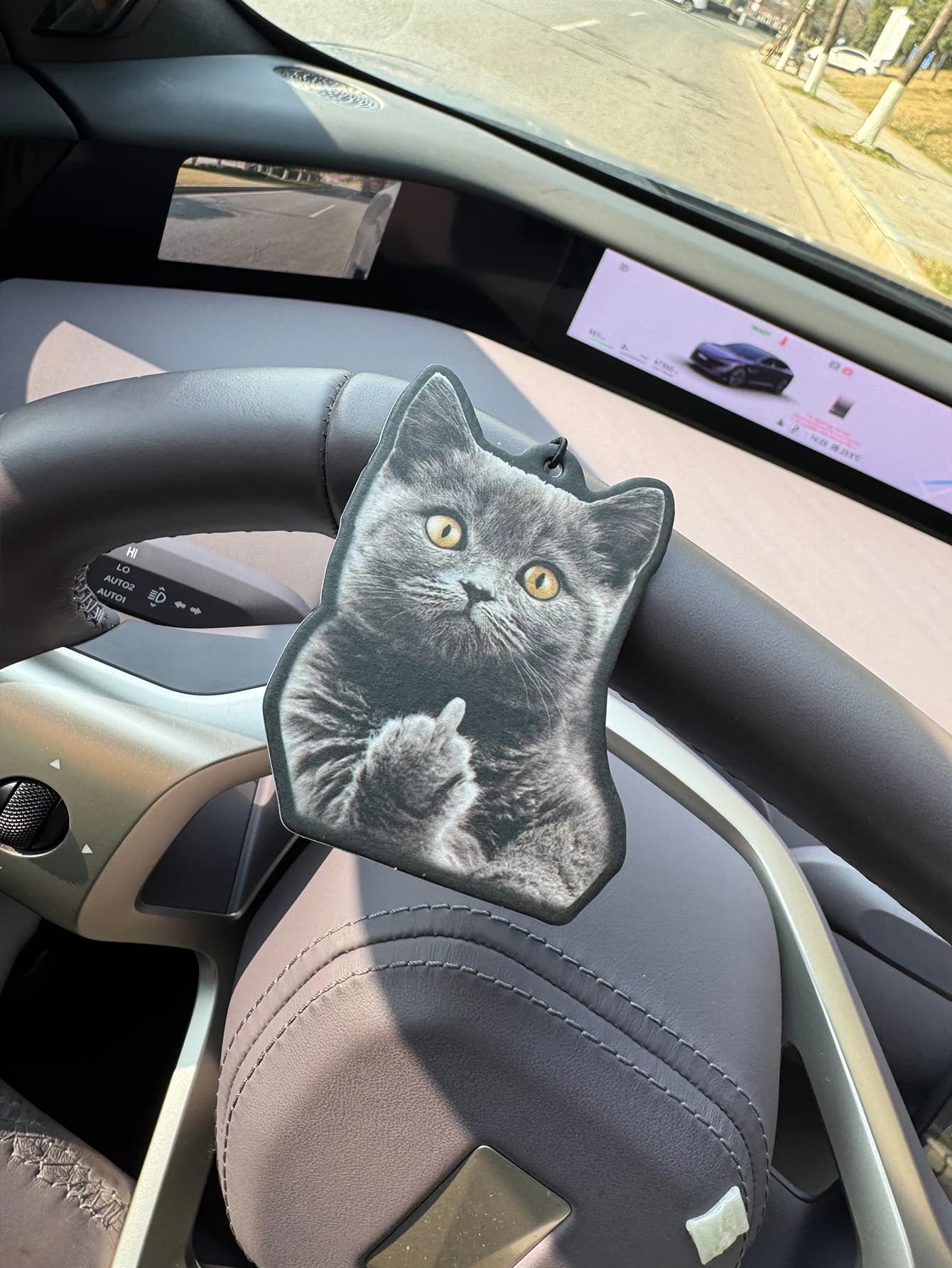Parfum de voiture neutre Funny Cat Five-Star et désodorisant non toxique | Huiles essentielles naturelles et comprimés parfumés d'aromathérapie (Noroili/Pamplemousse/Cèdre) | Type suspendu et