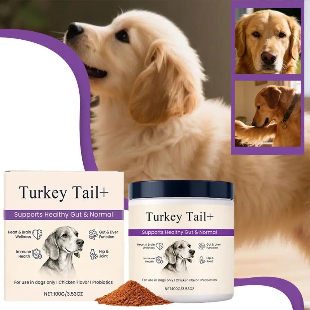 Poudre Probiotique Intestinale pour Chiens 100g Saveur Bacon Délicieuse Équilibre de la Flore