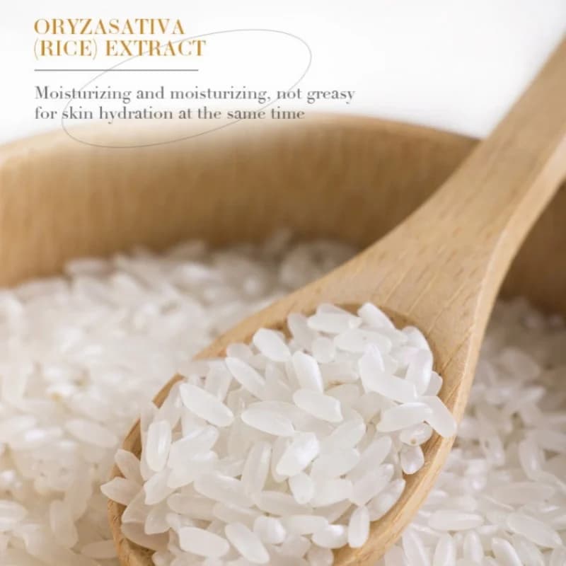 Crème pour les mains au riz, contenant de l'extrait de riz, hydrate et nourrit sans rendre la peau grasse, nourrit en profondeur, texture délicate, soin des mains, entretien saisonnier, emballage port